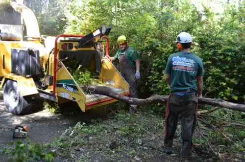 tree services Coal Hill